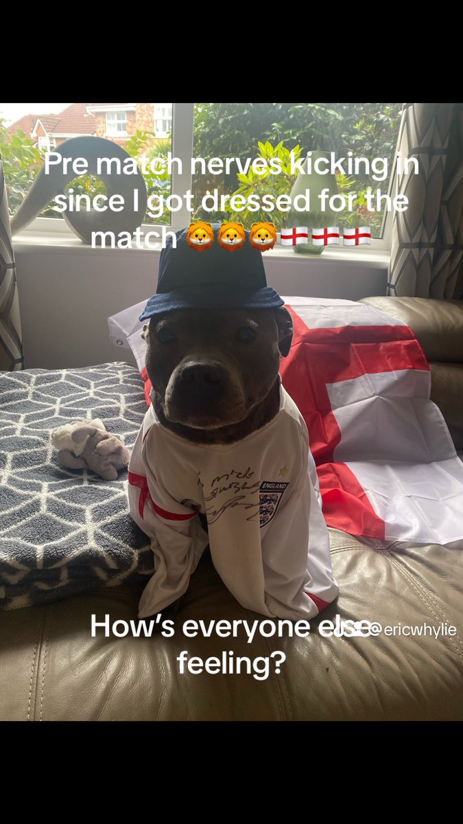 Paula Whylie 💜 The fluffy stuff IS THE hard stuff tweet media