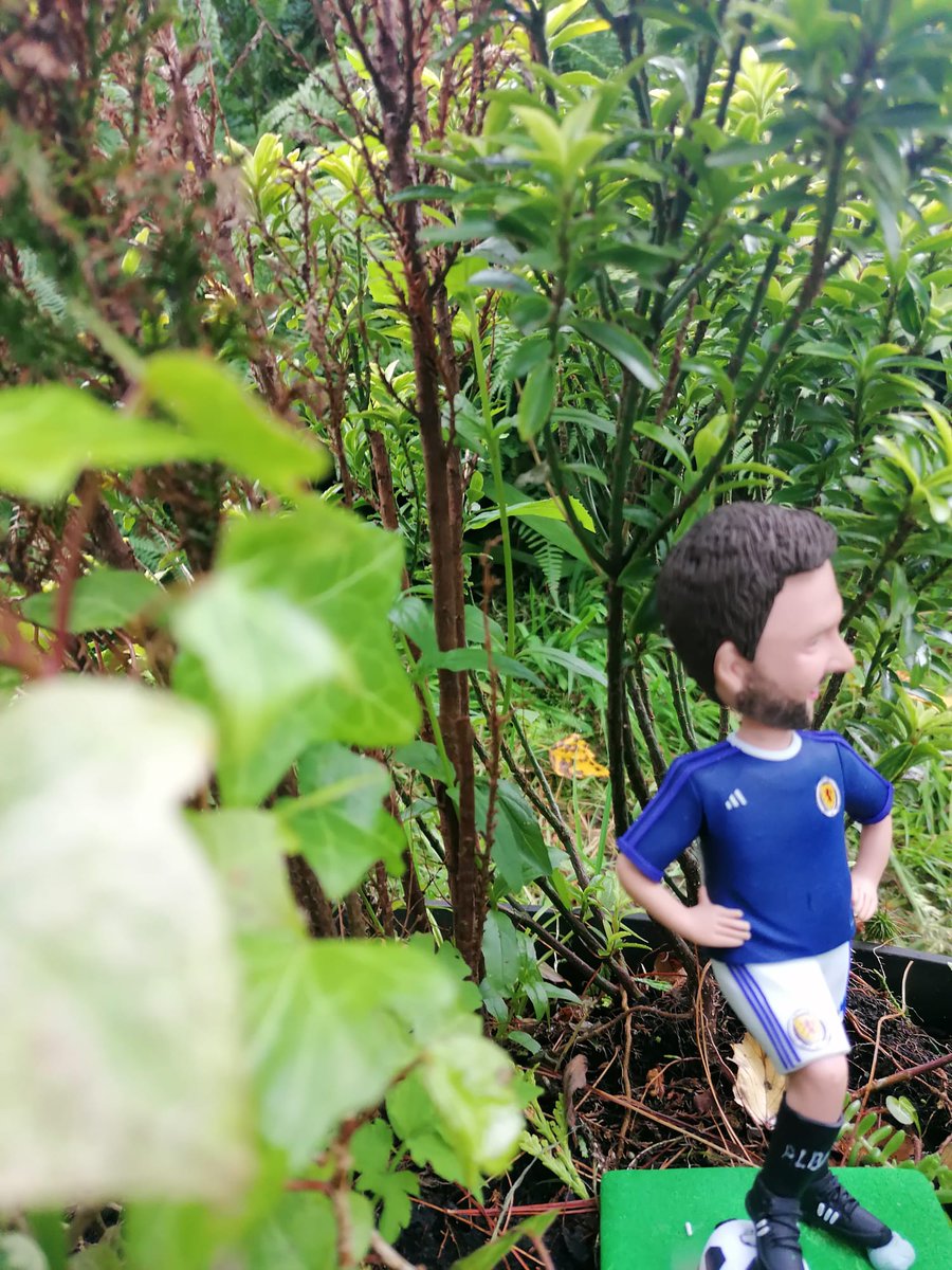 Smartinho24's tweet photo. I'm not one for pretentious self-indulgence, BUT.... I feel it's a day for existential rumination, and so ahead of my final prediction, I'm taking a contemplative walk around the local rainforest. https://t.co/yFwMx0Ycqm