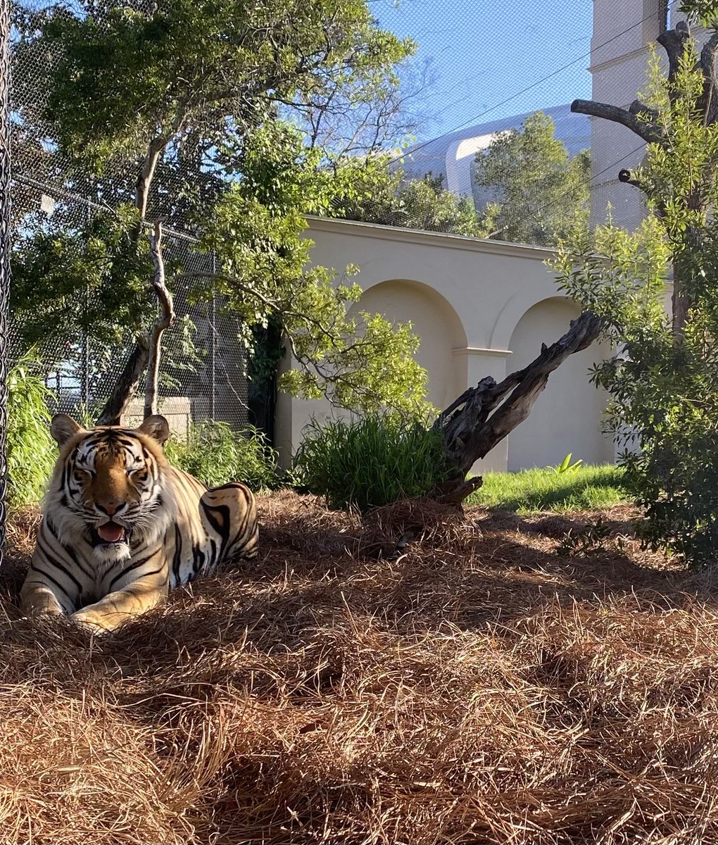 Silly face in case you need cheering up