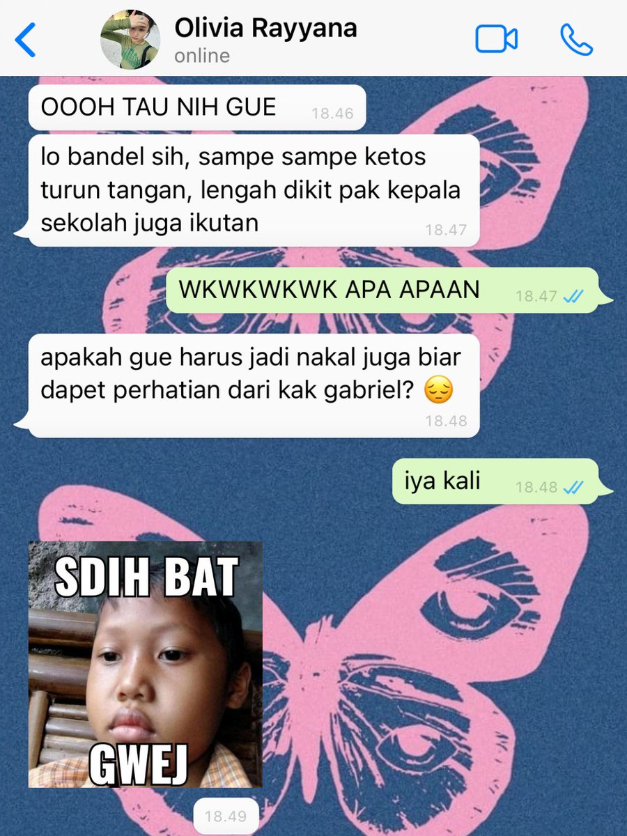 andaa ୨୧ tweet media