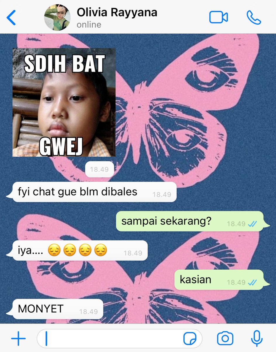 andaa ୨୧ tweet media