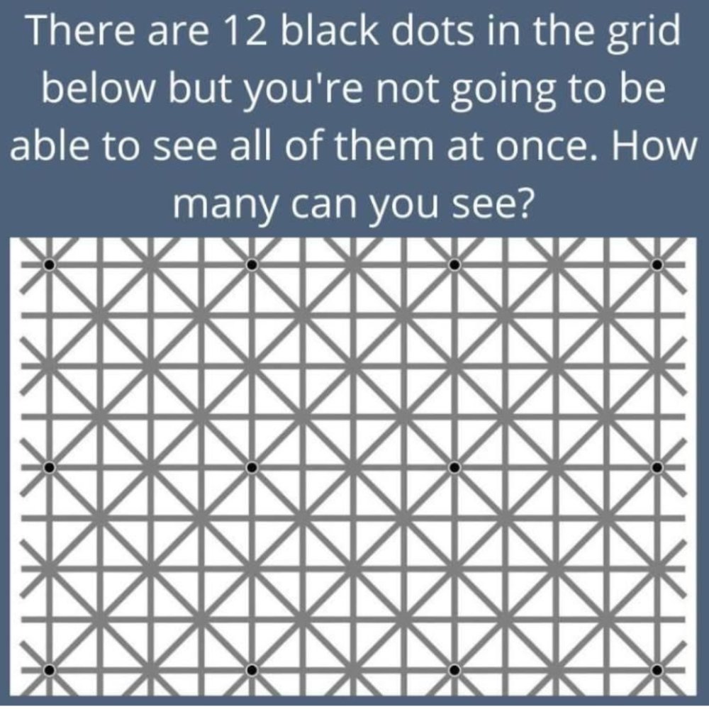 OpticiansDenham's tweet photo. Here's a spooky Optical Illusion for you. There are 12 black dots on this grid but it is impossible for you to see them all at once! This is because your brain is filling in details in your peripheral vision and missing those dots away from the centre. #OpticalIllusion #Optician https://t.co/hD1aIs1I9B