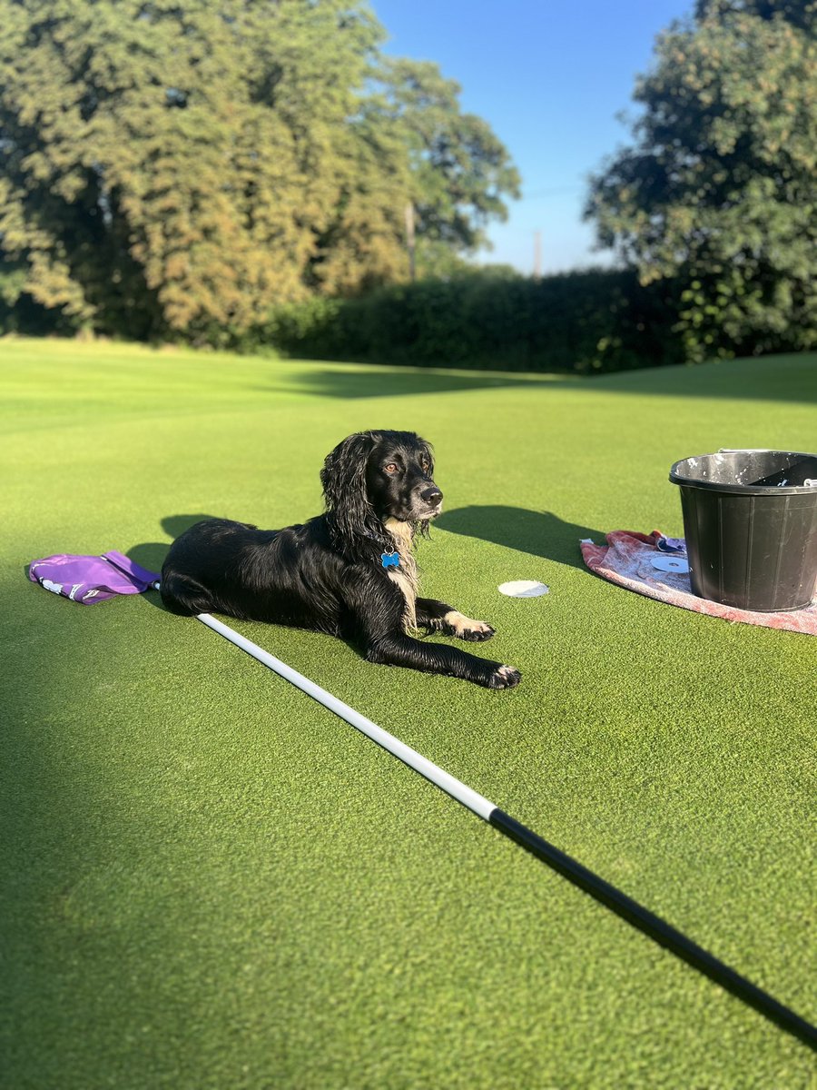 tux29's tweet photo. Club championship weekend complete. Course playing 🔥 https://t.co/2eTzwWcwga