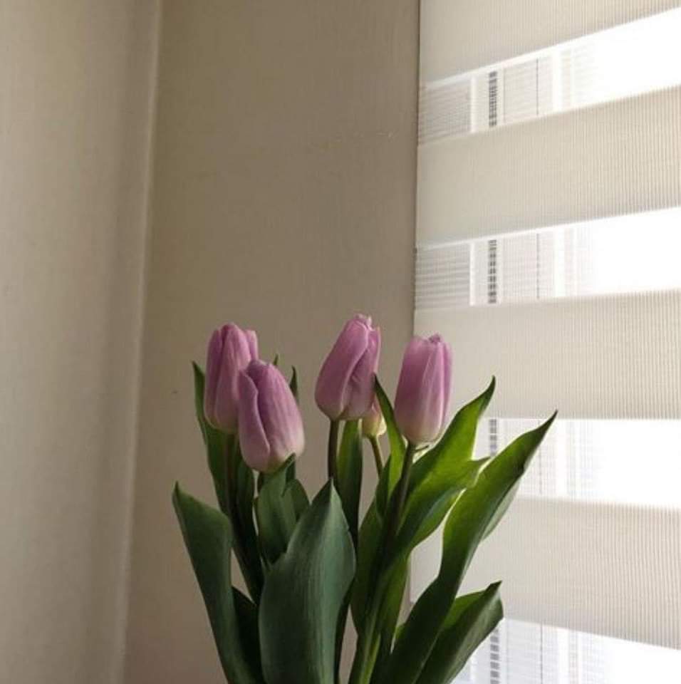 sunflower.🌻🤍 tweet media