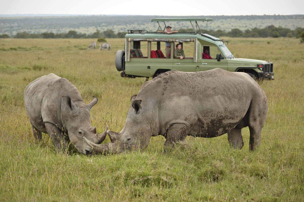 overlandsafaris's tweet photo. 8 Days Tanzania Budget Adventure BIG FIVE Safari
8 DAYS TANZANIA BUDGET ADVENTURE BIG FIVE SAFARI brings you the best of Tanzania. Expect to see the animals of the Savannah (lion, elephant, buffalo, giraffe, hippo, and leopard.
https://t.co/ol6SjFtl2S https://t.co/l5X6bl6QcQ