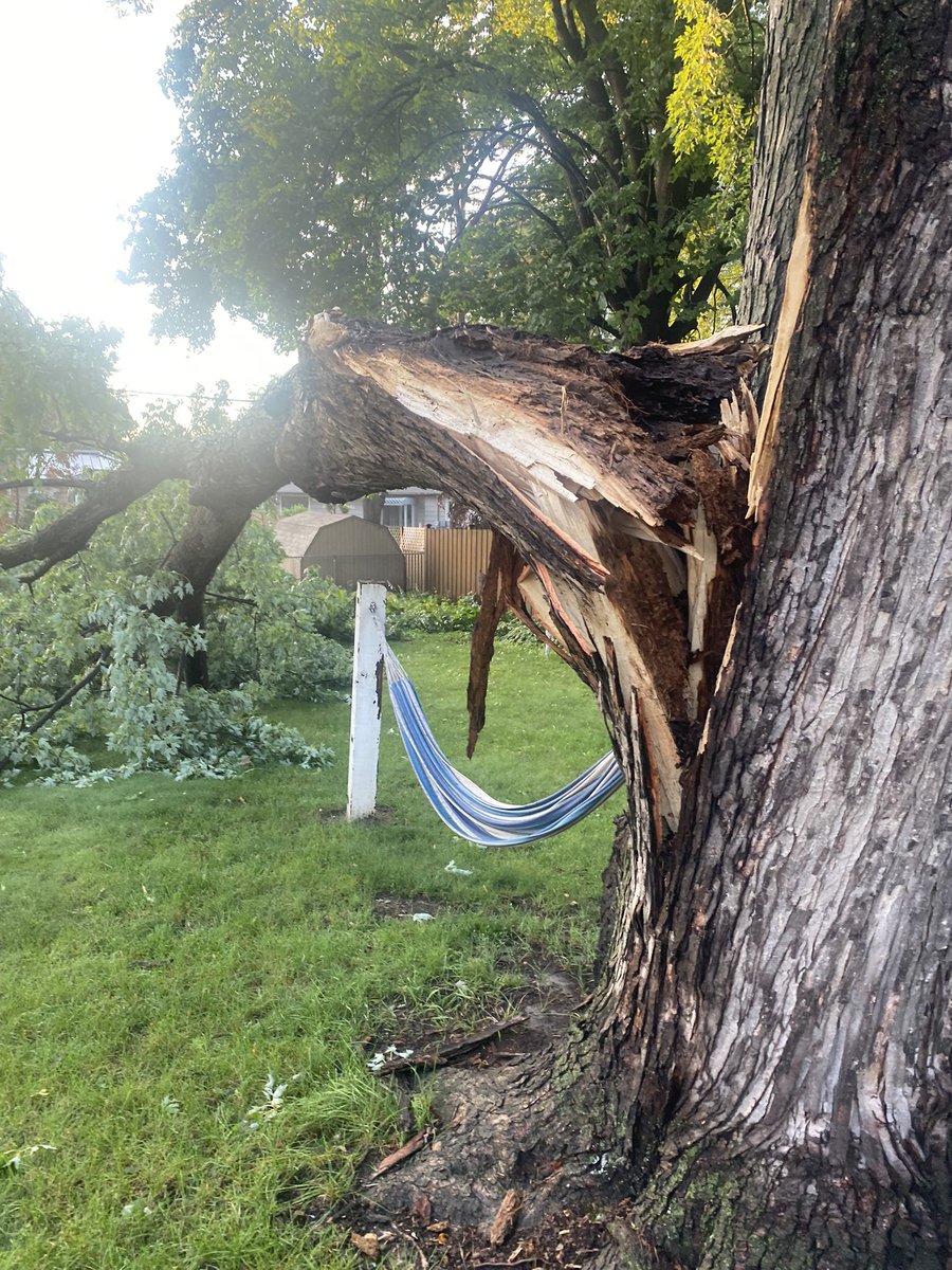 moam's tweet photo. The storm last night was crazy. Especially waking up to the aftermath in our backyard… #mnwx https://t.co/3dxPdx0FYx