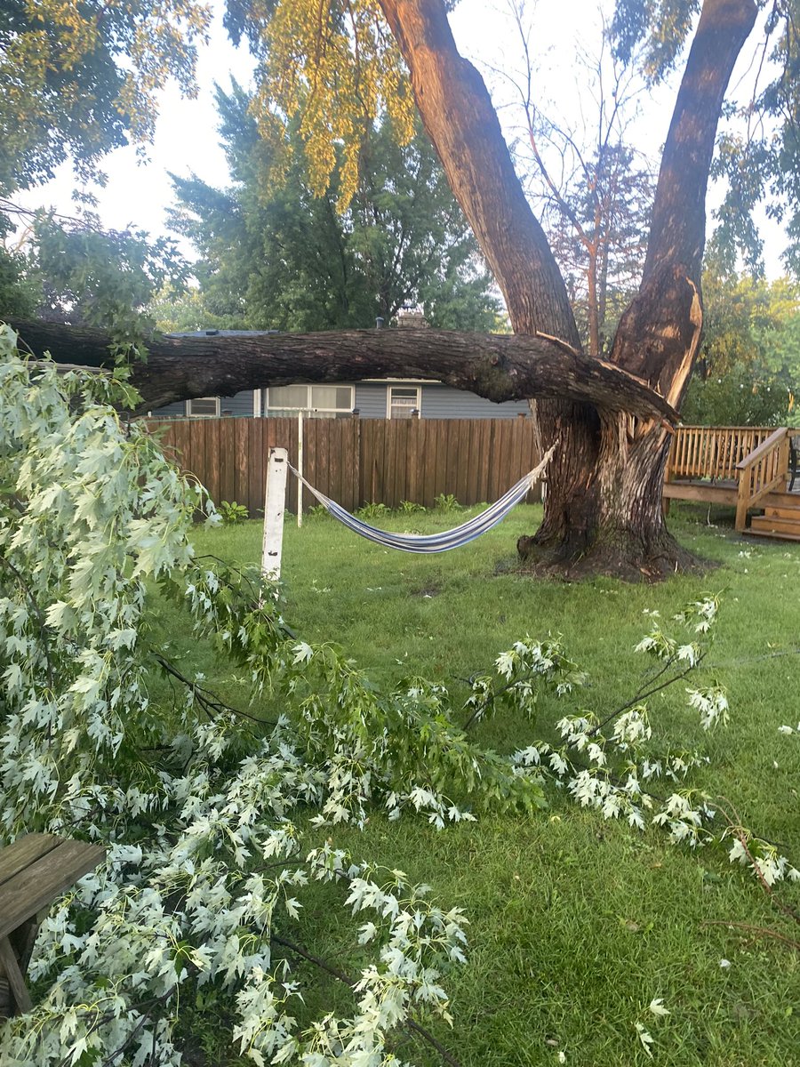 moam's tweet photo. The storm last night was crazy. Especially waking up to the aftermath in our backyard… #mnwx https://t.co/3dxPdx0FYx