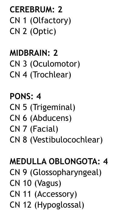 OGdukeneurosurg's tweet photo. Know this 2-2-4-4 Cranial Nerve Tip https://t.co/TqLlbKZcB6