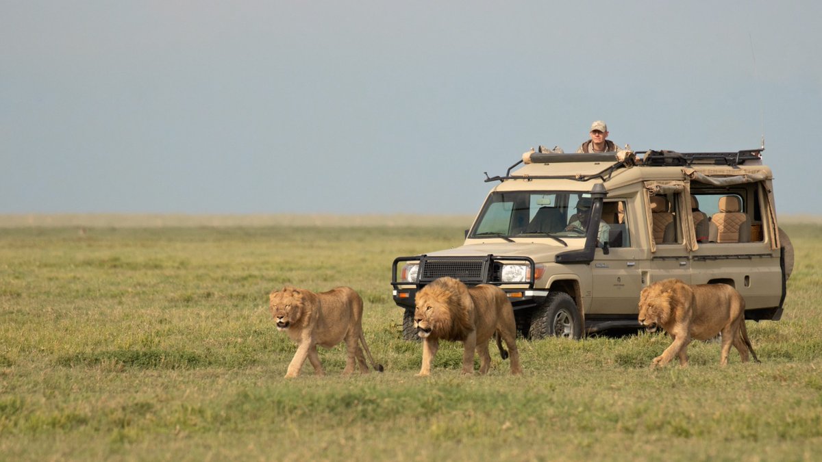 overlandsafaris's tweet photo. 12 Days Great Serengeti Adventure Big Cats Safari
12 DAYS GREAT SERENGETI ADVENTURE BIG CATS SAFARI can vary depending on your inclinations and interests, and we specialize in helping you experience the finest, most comfortable.
https://t.co/VKsdktzKPn https://t.co/R3FByOZ7RO