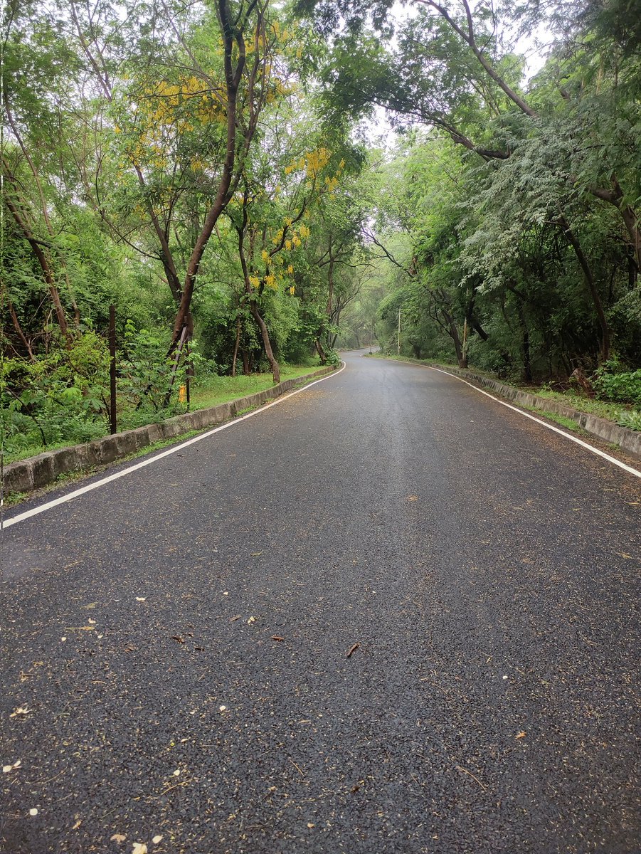 imSubhm91's tweet photo. Experiencing the monsoon season at JNU is truly unparalleled. https://t.co/nZLs1gLPAk
