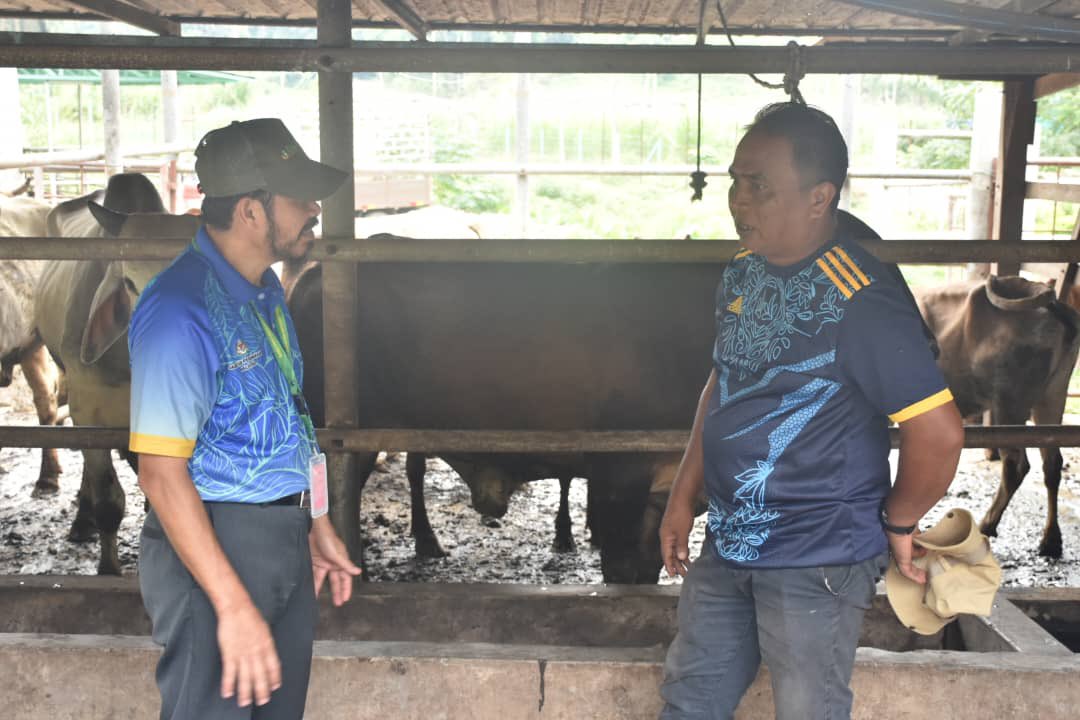 DOSMN9's tweet photo. 14 Julai 2024 | Sesi Turun Padang Pesuruhjaya Banci, YBhg. Dato’ Sri Dr. Mohd Uzir Mahidin @Dr_Uzir bagi pelaksanaan Banci Pertanian 2024 🌱di daerah Jelebu pada minggu ini.

@StatsMalaysia 
#StatsMalaysia 
#DOSMNegeriSembilan 
#teamstats9 
#BP2024
#KunciKemajuanPertanian https://t.co/7OqDhcgTUO