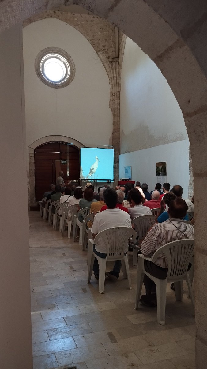 Gracias a la gente que ha acudido a la charla sobre aves. Y por supuesto a Juanji por su ponencia y a Pedro por sus preciosas fotos‼️📷🐦‍⬛🐦💧