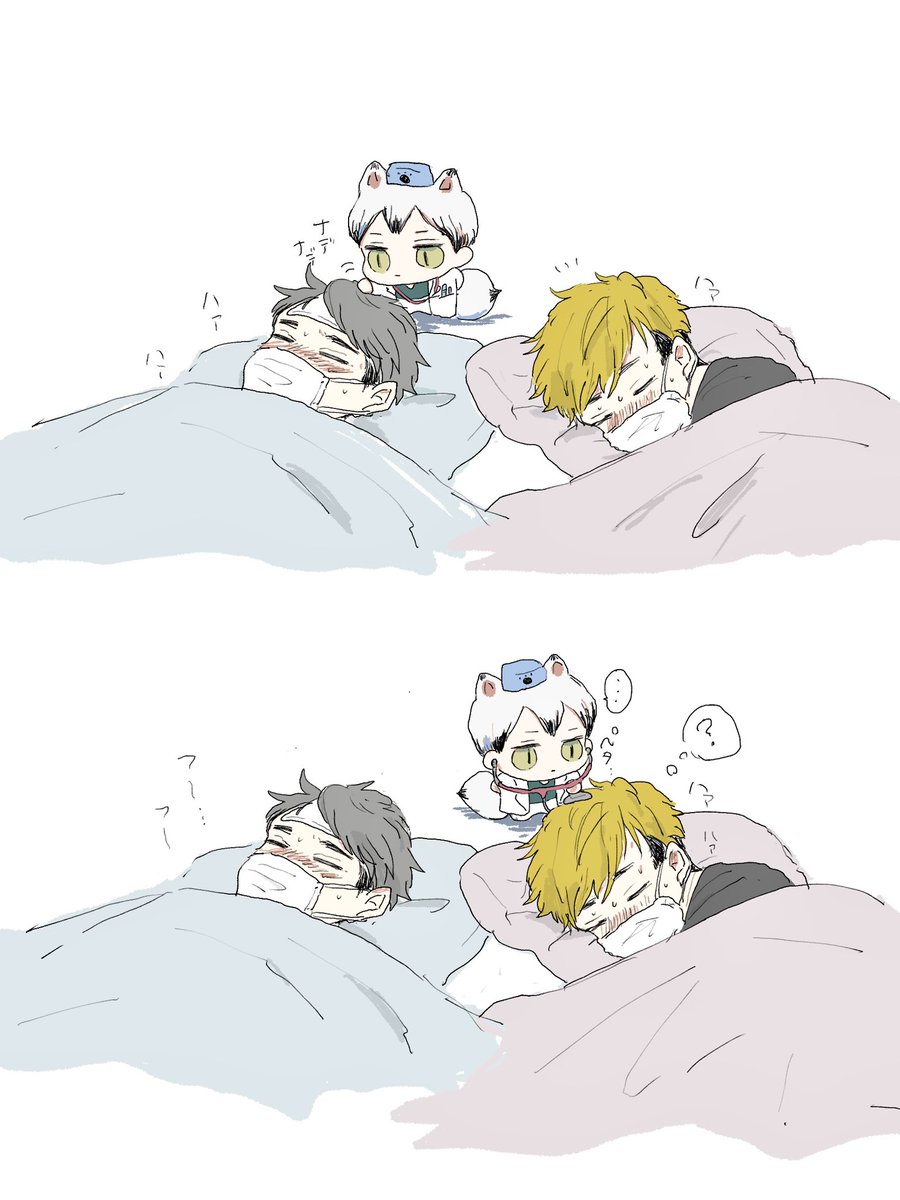 himeccooo's tweet photo. 回診です🐾 https://t.co/IJCas00rdr