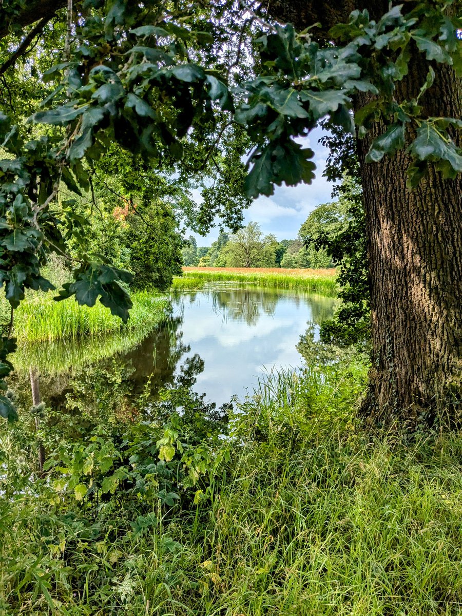 Jamie Smith tweet media