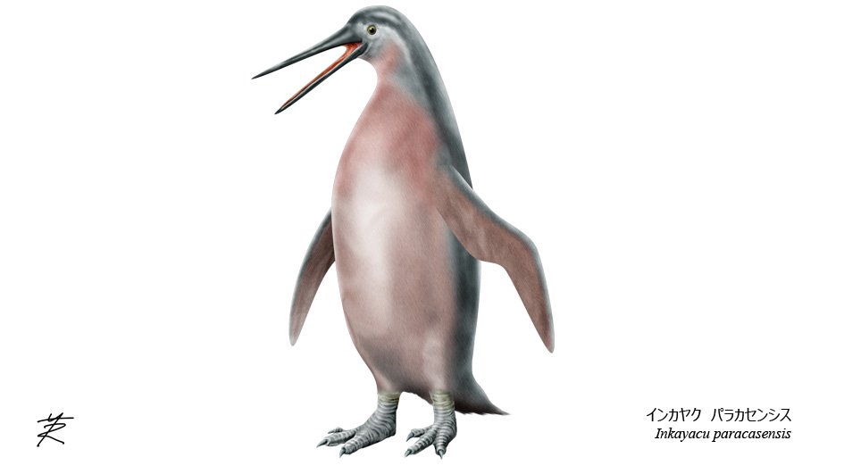 水族ドットコム on X