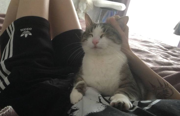 sakura (@siniyiii) on Twitter photo 