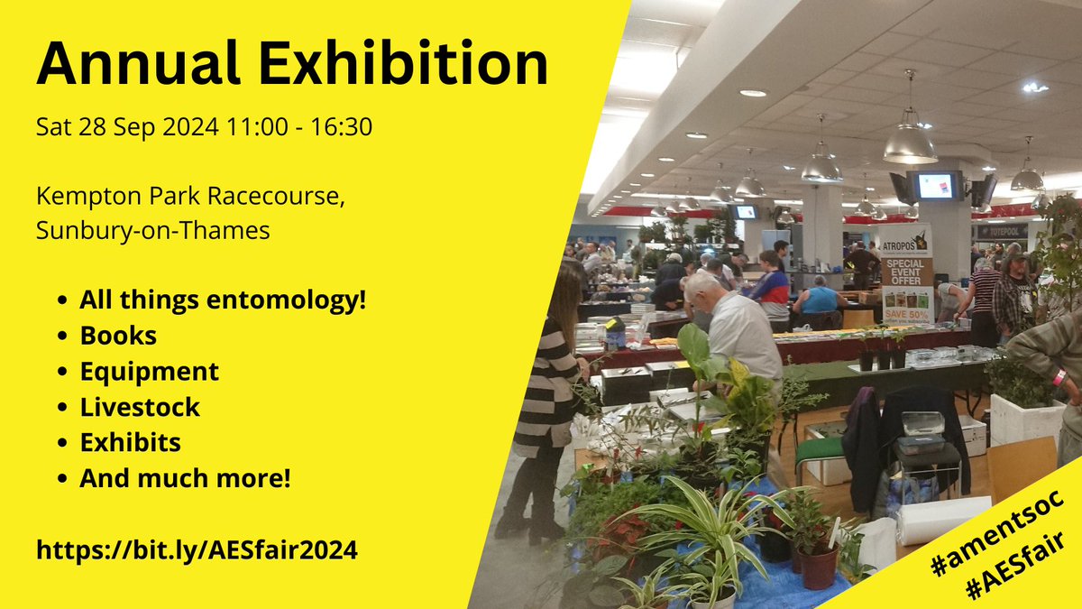 AES - amentsoc.org tweet media