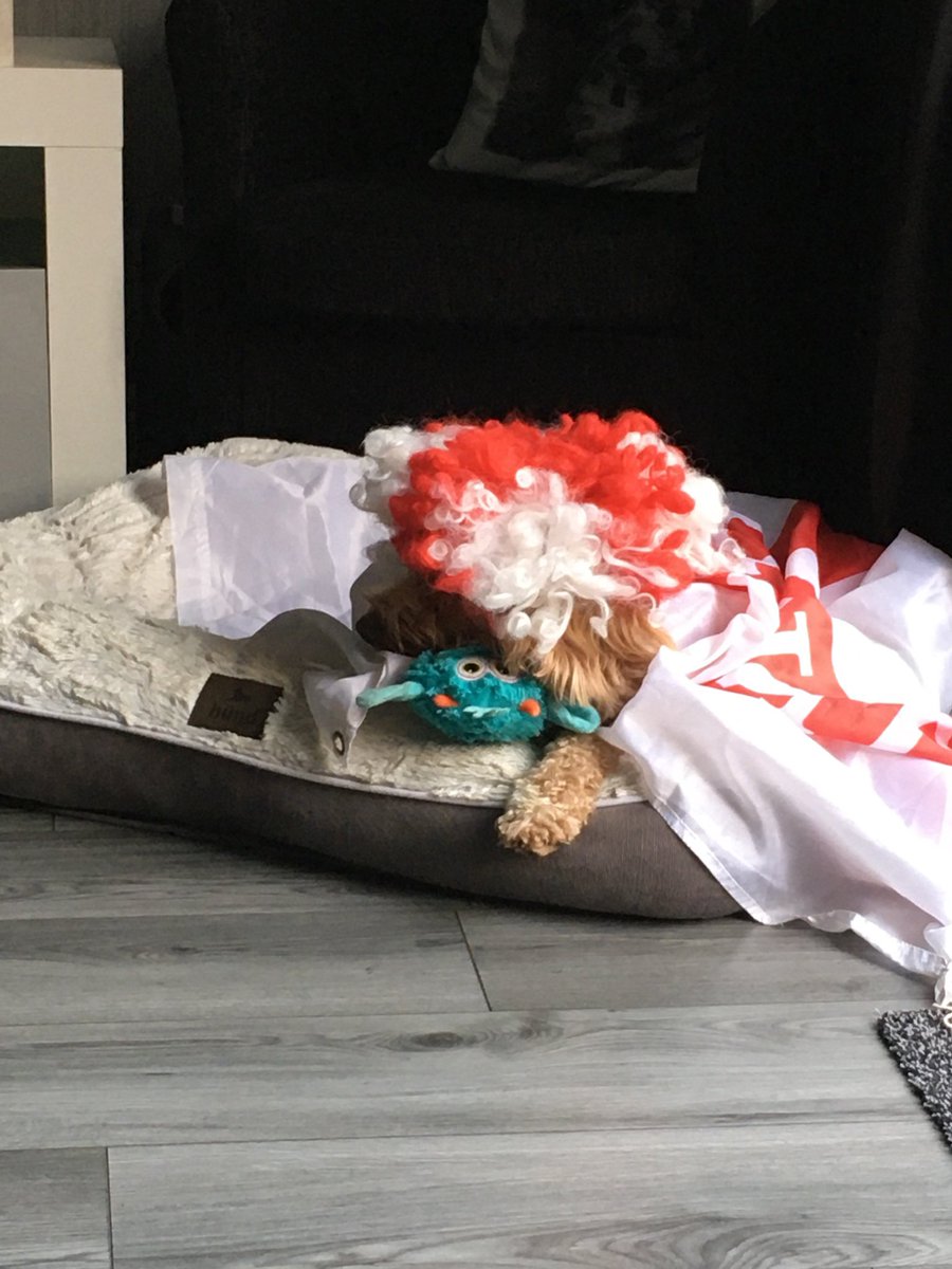 markawt66's tweet photo. Charlie bear it’s coming home #SSNThreeLions https://t.co/lhaXzg4zNw