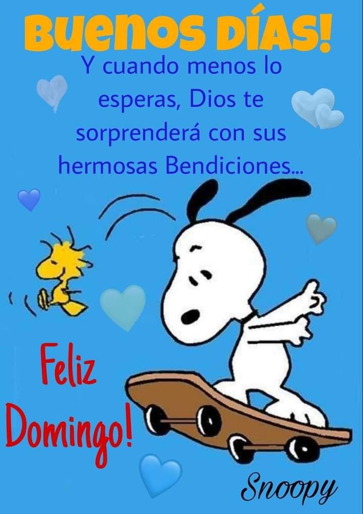 alexccabrera's tweet photo. Buenos días ⛅💕���
Bendecido domingo
Gracias por existir! https://t.co/zoZuHx7K9l
