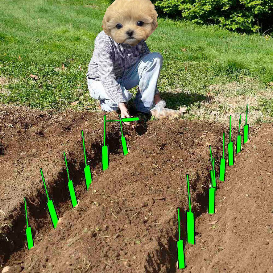 poopoox55's tweet photo. @mrpunkdoteth $TRUMPY GOT YOUR BAG, WE ARE PLANTING THE GREEN CANDLES

CA: 5Hwk6TX7ikLQ1KjhmFRjmzbUAEvDyeQsdpouqEyCpump https://t.co/yxngin43Dm