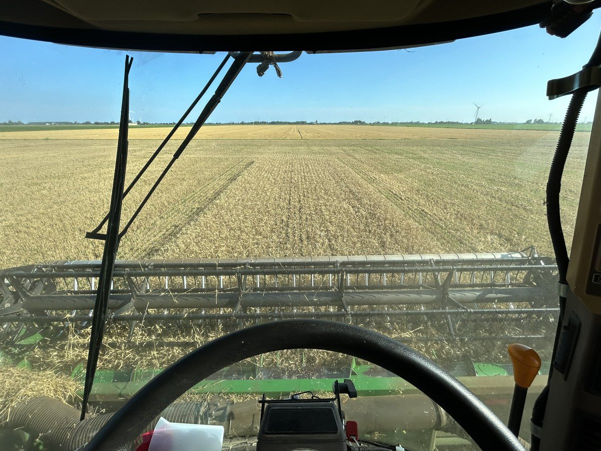 Ochee_C's tweet photo. @SnobelenGrain https://t.co/nlYaEWTNFV