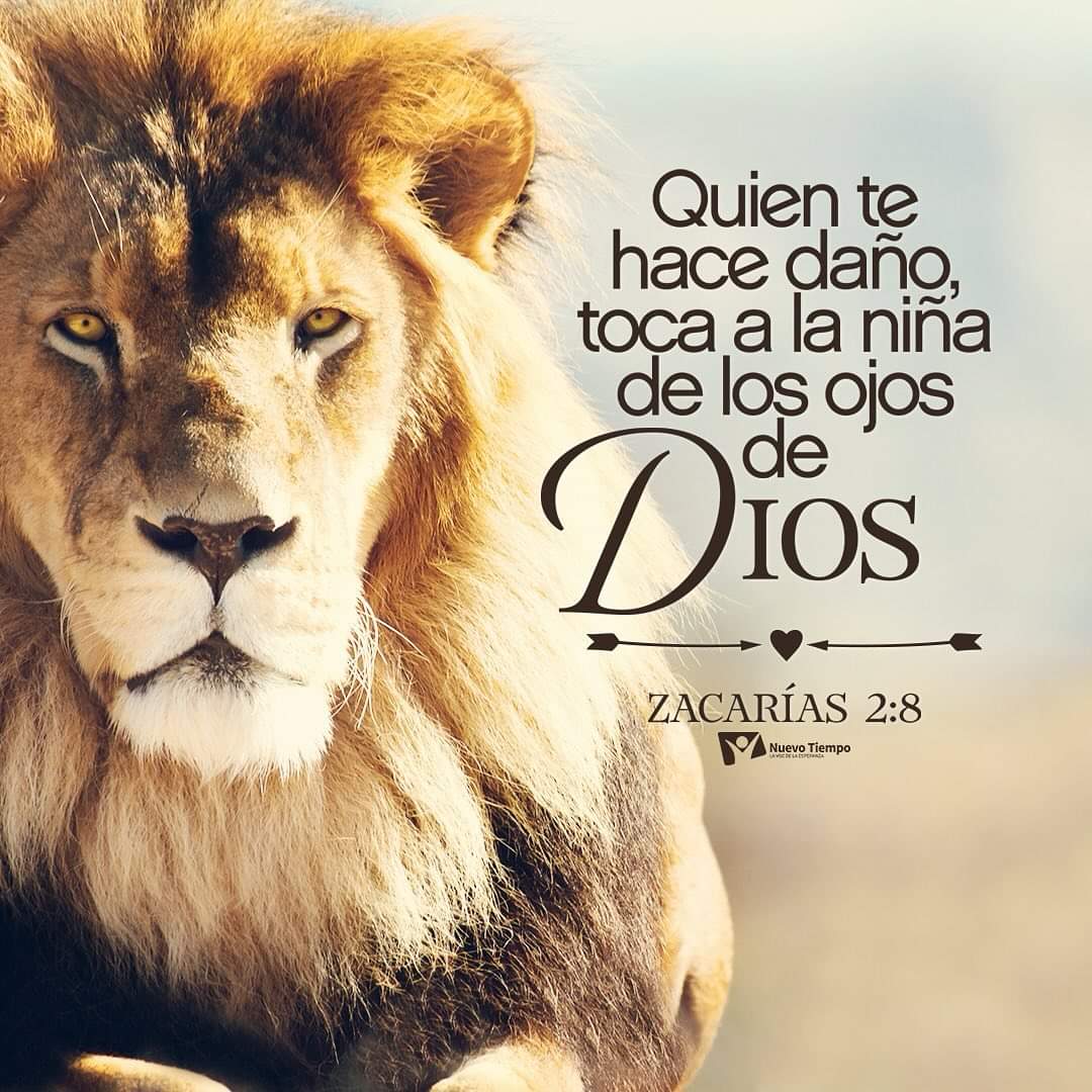 FlixDelgadoGue3's tweet photo. Zacarías 2 #RaPSP
Si Dios es con nosotros ¿quién contra nosotros? https://t.co/cT6miRyHzR