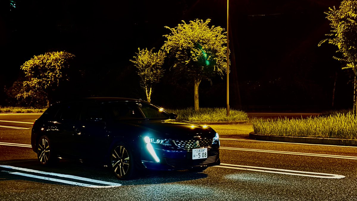 Flanchan_508ESY's tweet image. 誰もいないPAにて
#Peugeot #508SW
