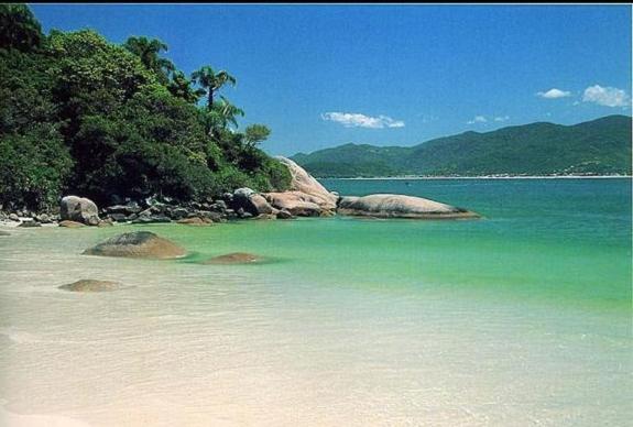 DesignerSimoneT's tweet photo. Campeche Island SC https://t.co/DnH4plU7xu