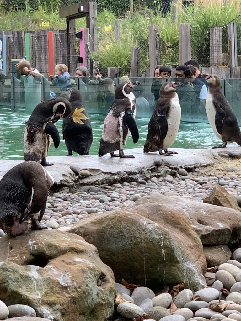 Capn_Poss tweet media