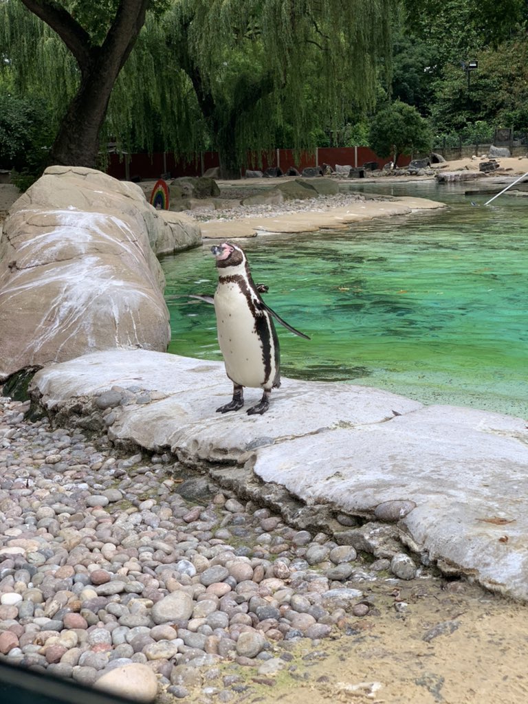 Capn_Poss tweet media