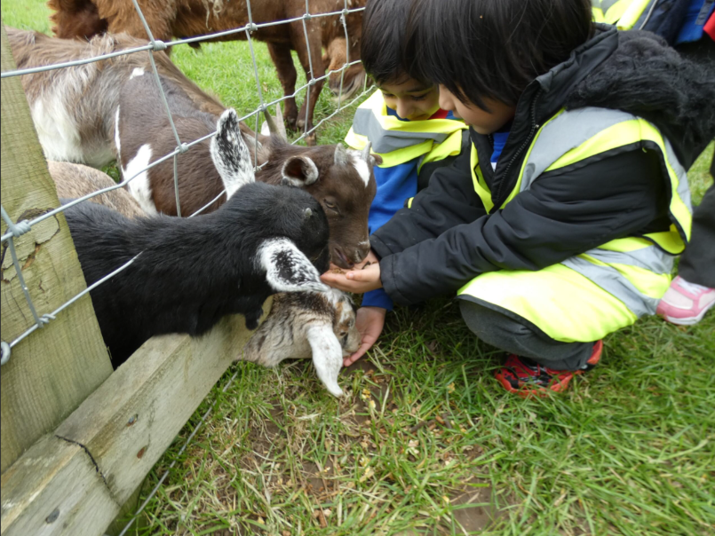 Copthorne PS tweet media