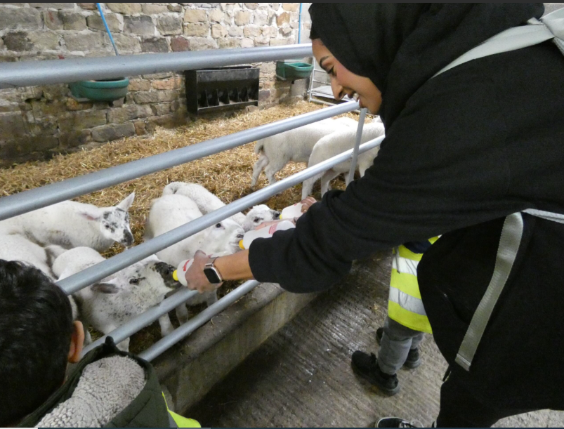 Copthorne PS (@copthornesch) on Twitter photo Reception children went to the farm to learn about the animals there. What is your favourite animal? #FarmLife Reception children went to the farm to learn about the animals there. What is your favourite animal? #FarmLife