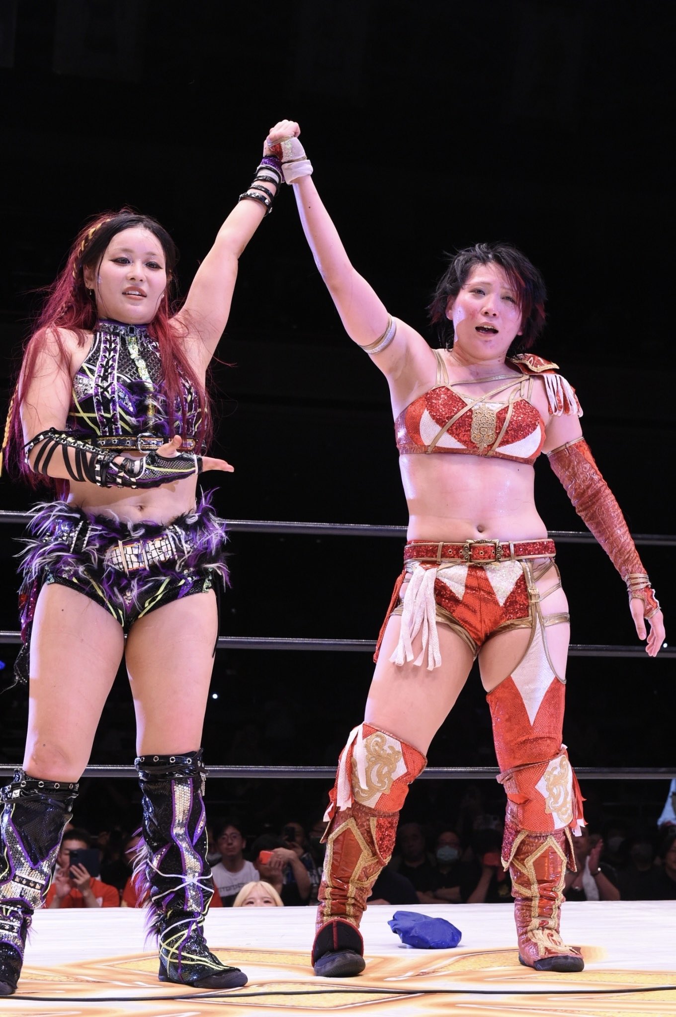 女子プロレス マリーゴールド B2ポスター イヨスカイ IYO SKY