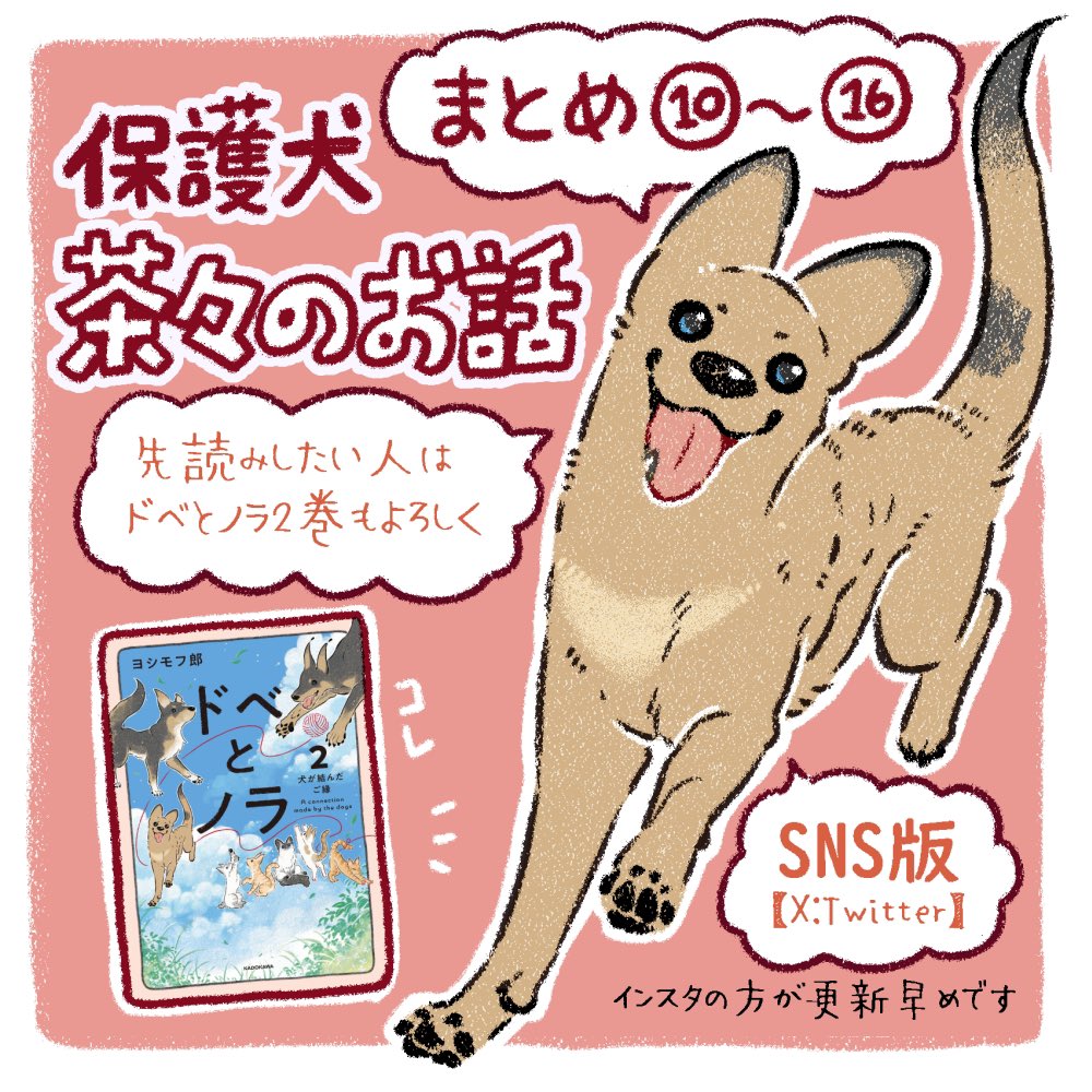 【保護犬茶々のお話】
まとめ10〜16話
#絵日記 