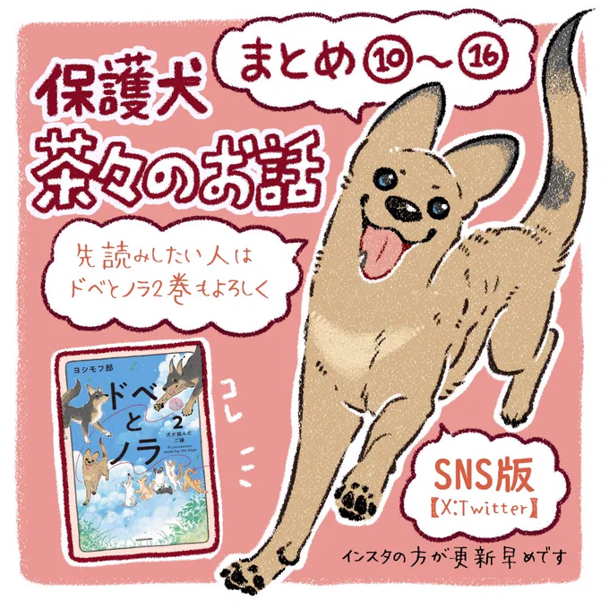 【保護犬茶々のお話】
まとめ10〜16話
#絵日記 