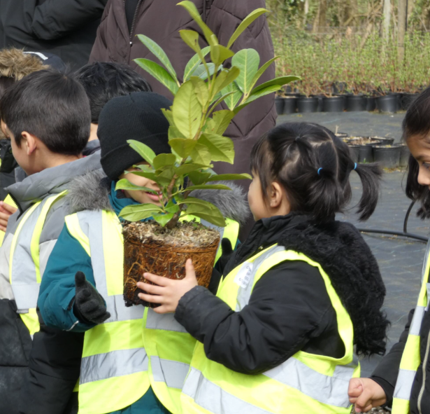 Copthorne PS tweet media