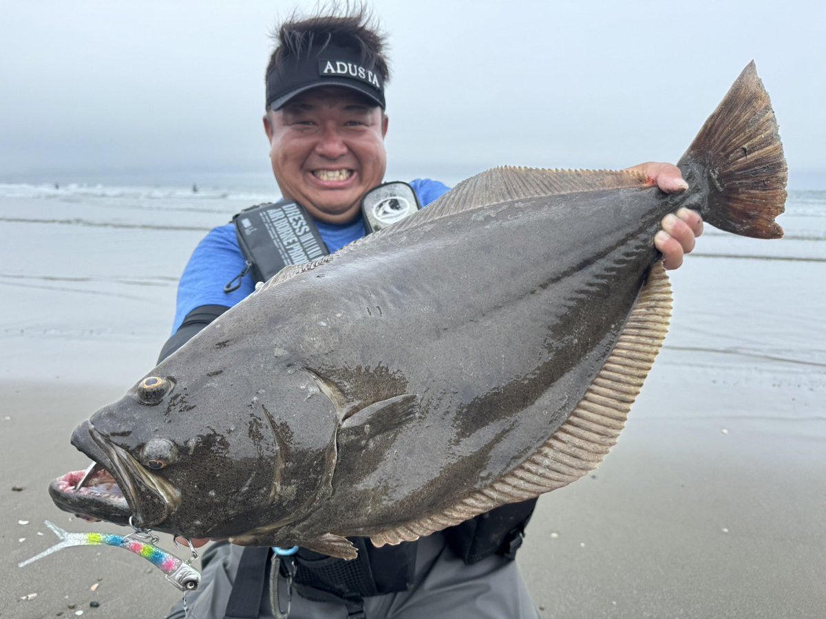 ハルパパ tweet media