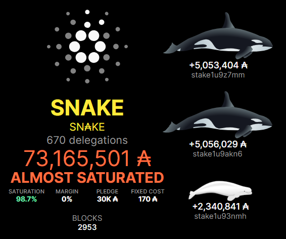 SN₳KE Pool - Ticker SNAKE tweet media