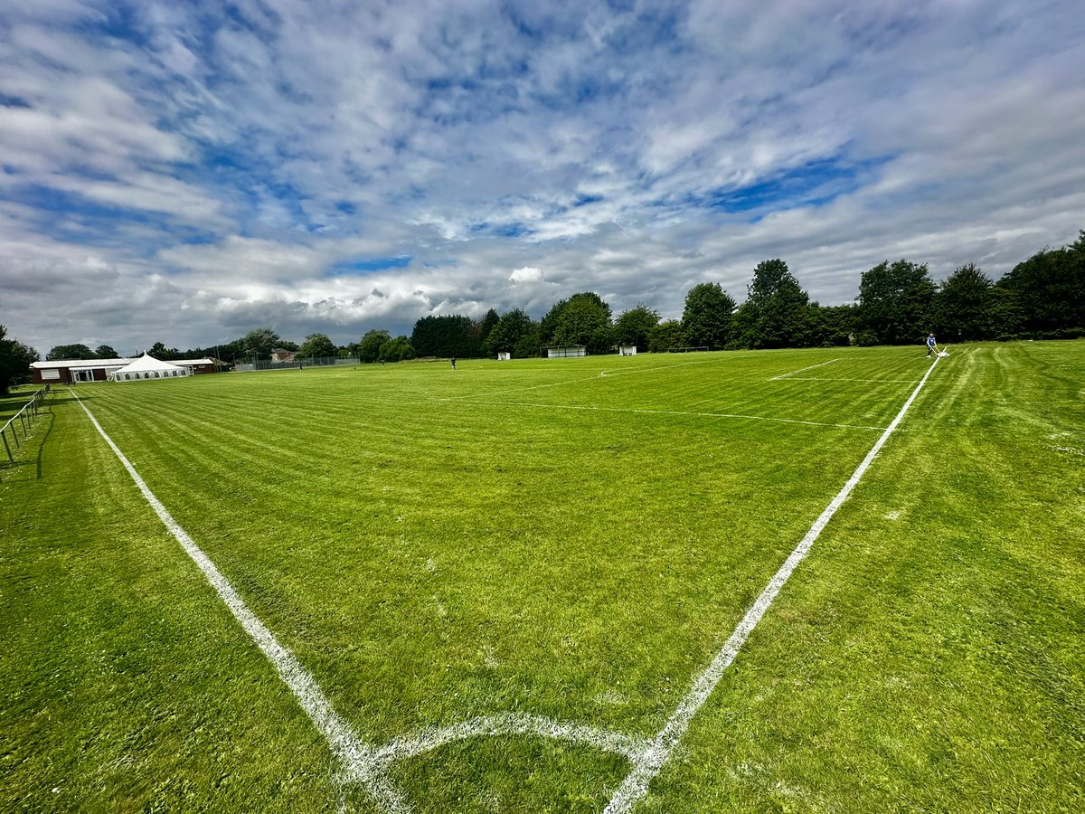 The Nest looking decent 💙