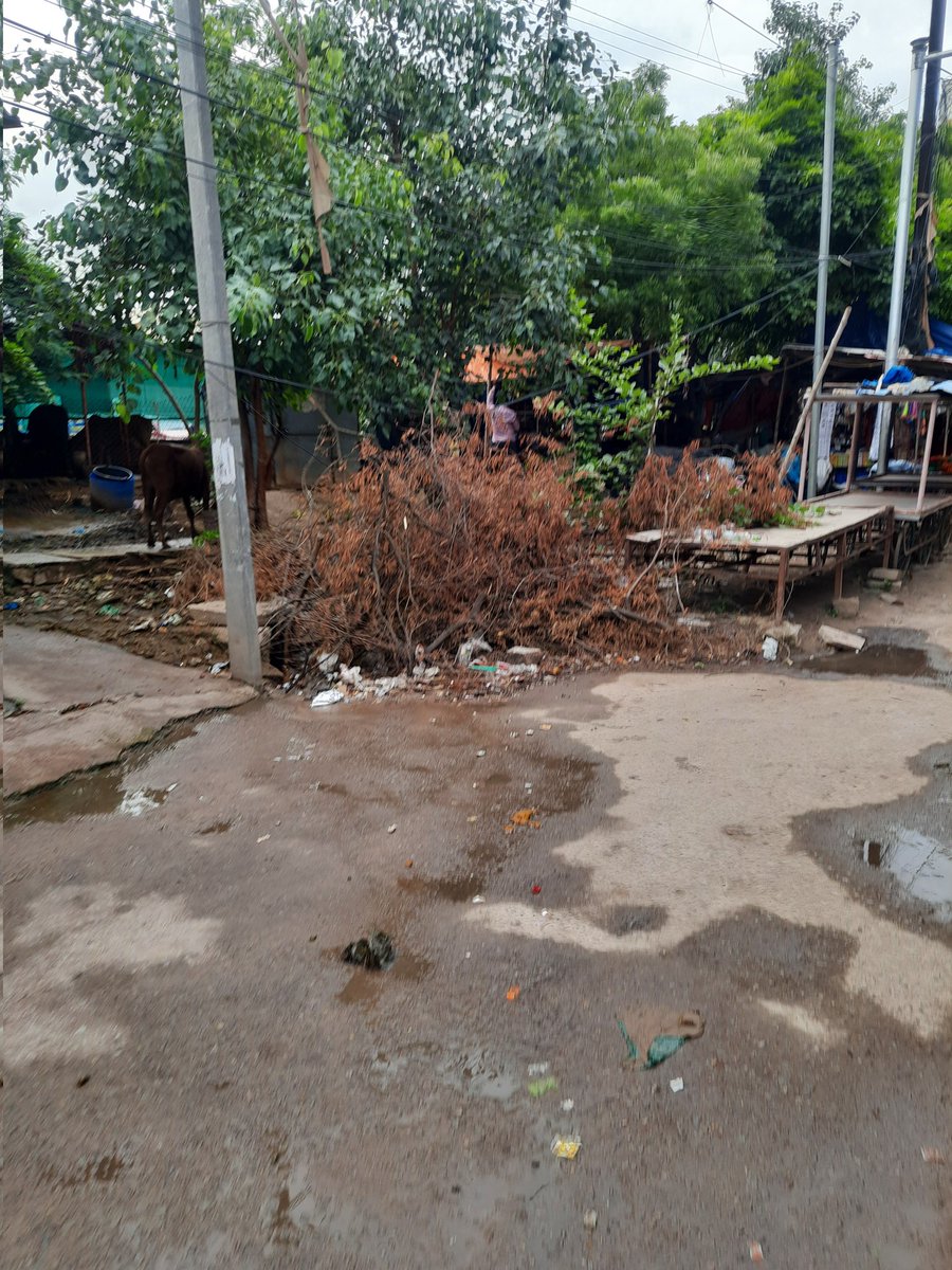 Requesting Sir @C11DEE to lift this trash lying from 1 week Loc:Sai Baba Temple
maps.app.goo.gl/esrkJQsFu253JZ… Early response is much awaited.Thanks 🙏