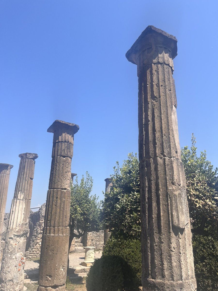 Louisa Lewis tweet media