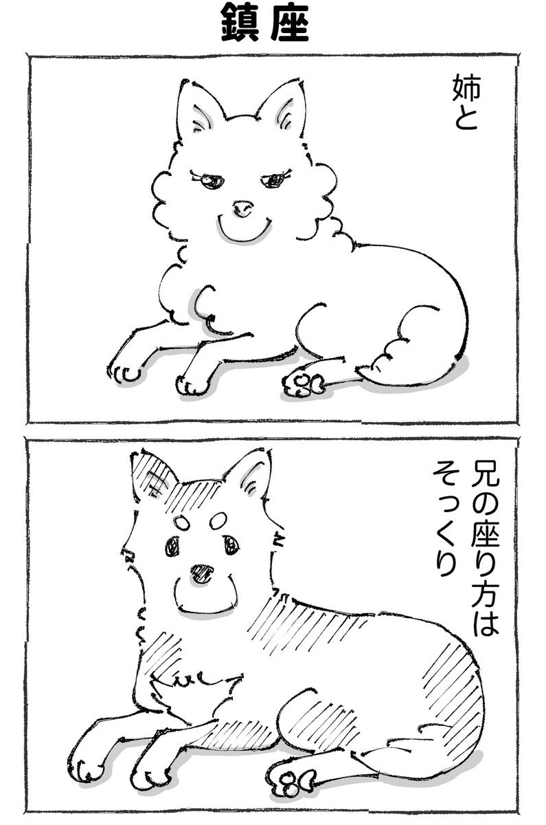 うちの犬のルカ。2【1/3】 
