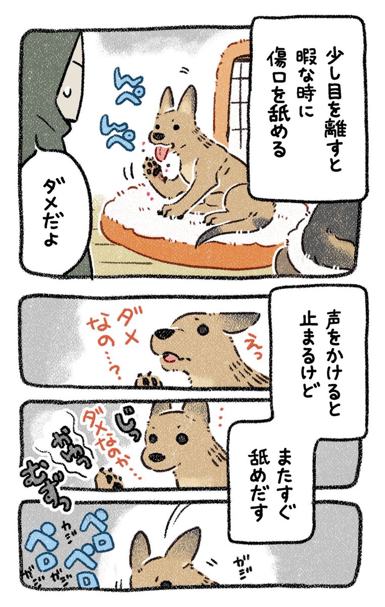 ▼10話 