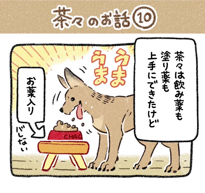 ▼10話 