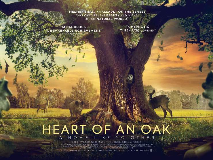 CinemaCityNrw's tweet photo. 🎵 Monday, Monday, so good to me 🎵

Tickets on Mondays are £8.20 or £5.20 for members!

🚀 #FlyMeToTheMoon
🌳 #HeartOfAnOak
🎹 #EnoFilm
🕵️ #Longlegs
😢 #TheCommandantsShadow

Plus lots of more great films! https://t.co/pIj44mN4uk