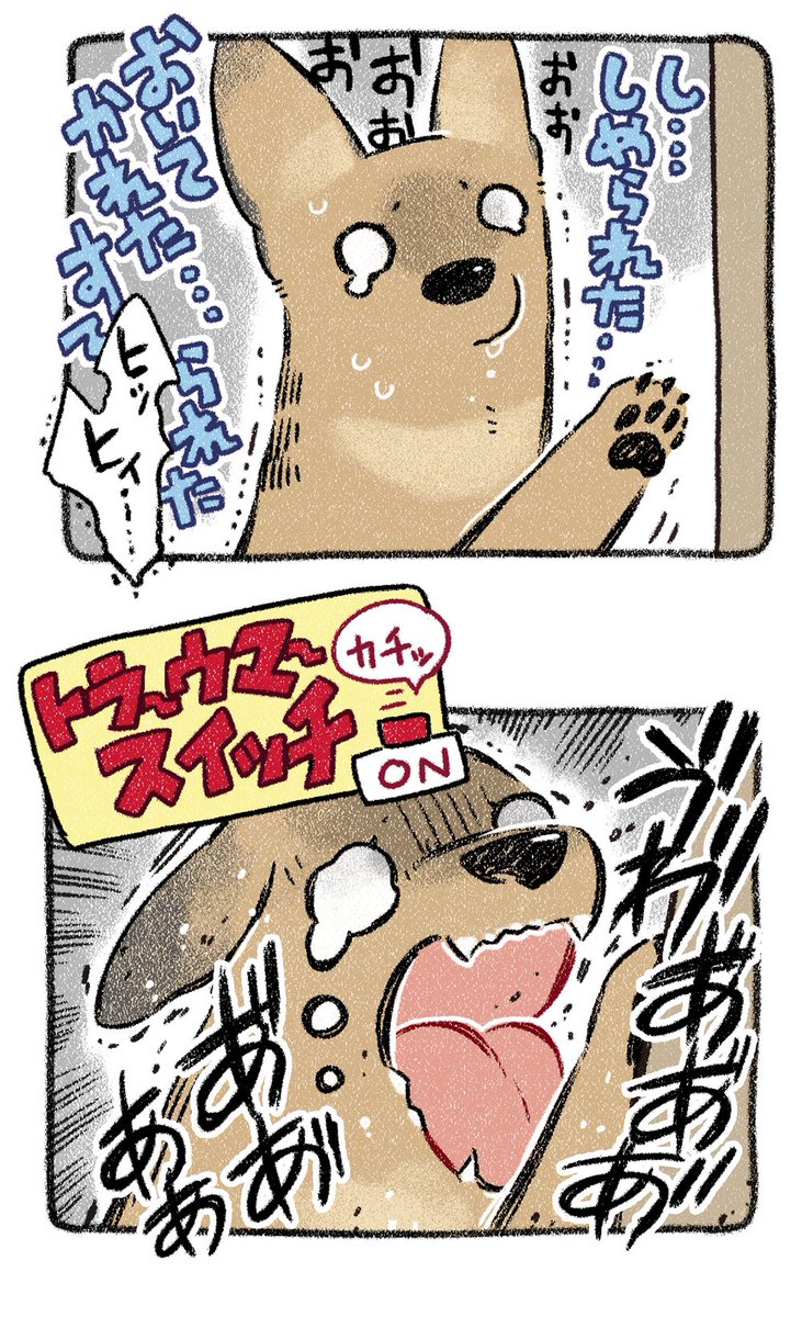 ▼11話 