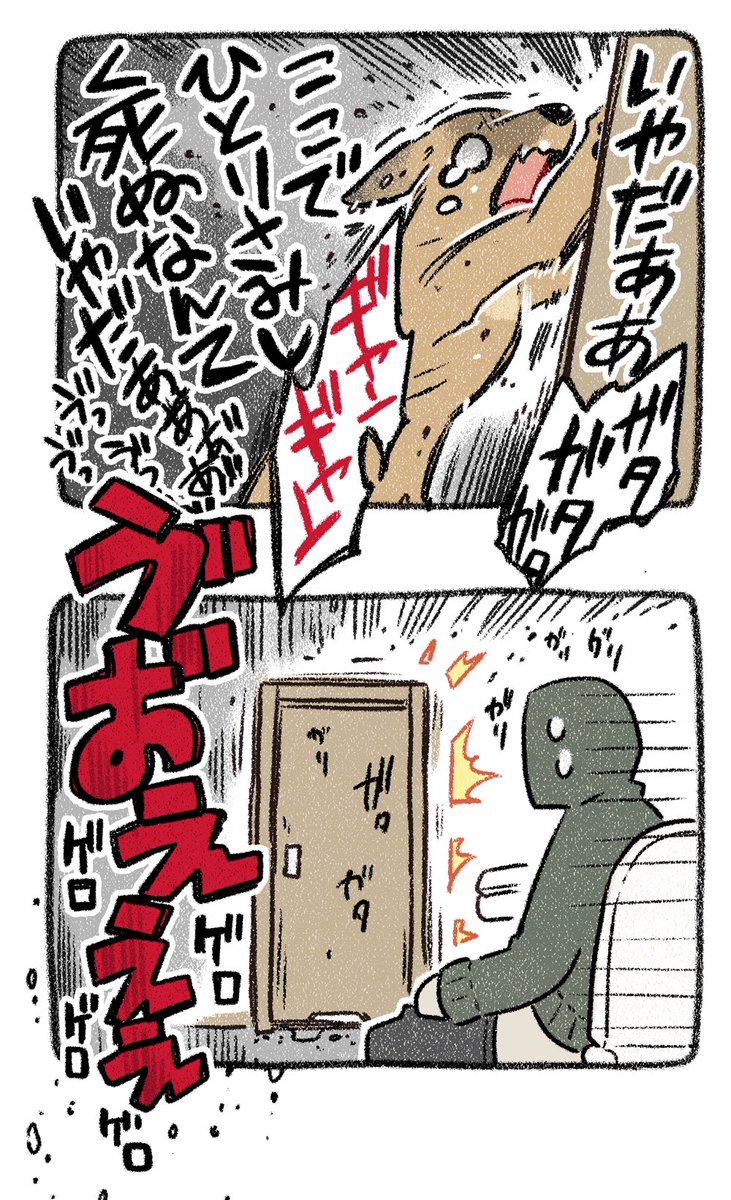 ▼11話 