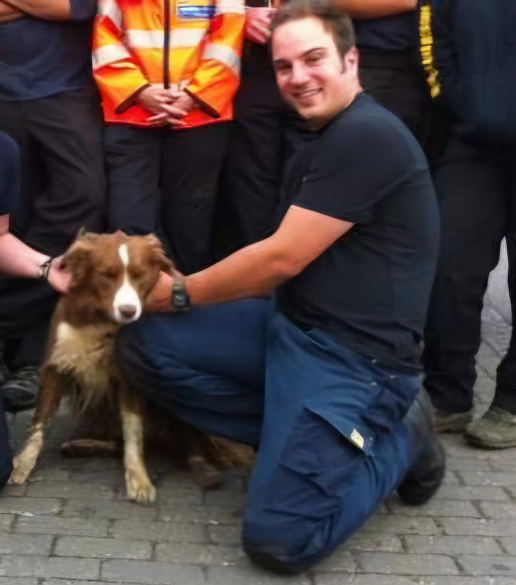 Search Dogs Zak & Rusty tweet media