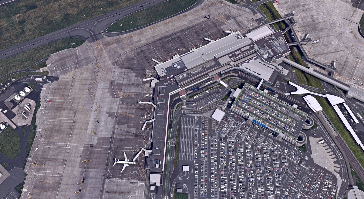 pyreegue tweet media