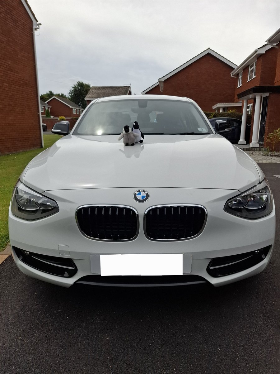 Ryan's 🐧🐧🐧 tweet media